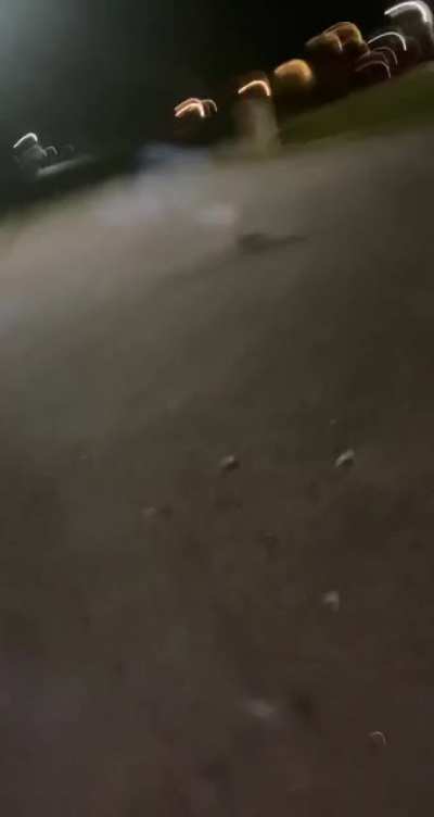 some original footage from last 4th of July w/ my brother and friends. I guess the firework piping was too tight and the explosive didn’t launch into the air. Genuine fear ensued, thought it would fit here.