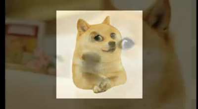 Funny doge