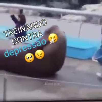 Bora porra