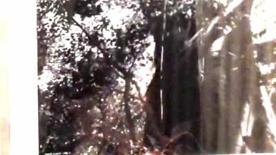 Turned the brightness up on the reflection vid, tried to make it as visible as I could.
