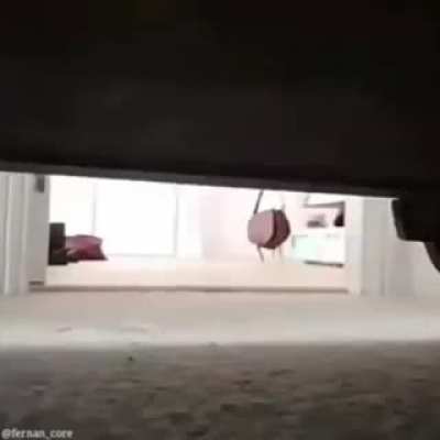 XD