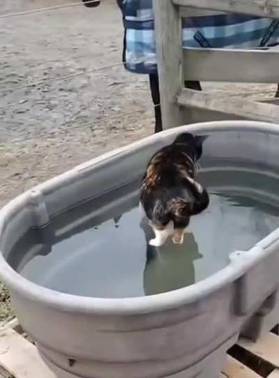 hmm