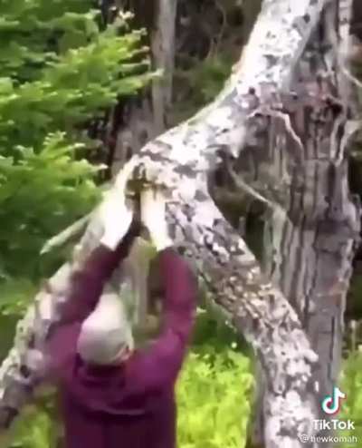 CTTO