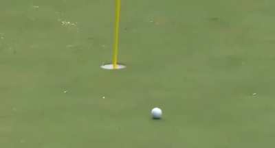 perhaps best shot in the history of golf.. we Praise The CameraMan because he managed not to lose sight of the ball, although it almost happened... it would have been a pity if it was ruined