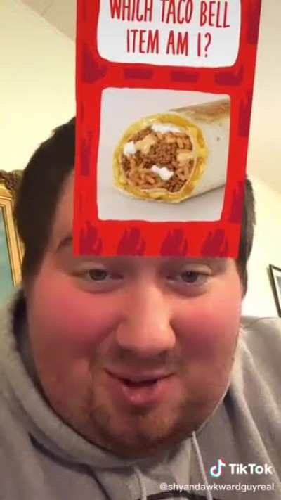 Is that a beef quesarito?