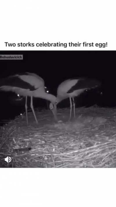 Not your average freakout