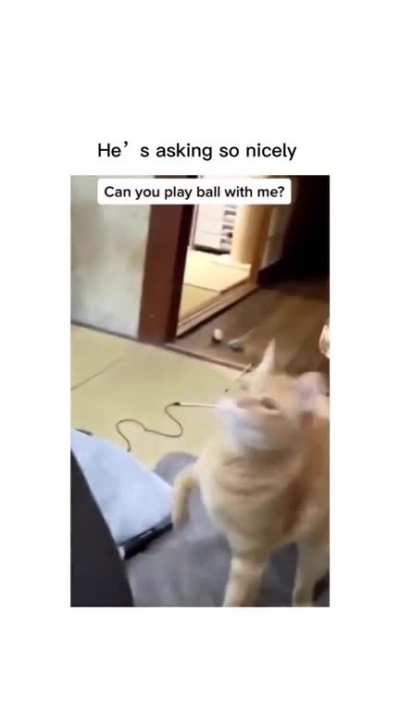 C'mon play the damn ball with him