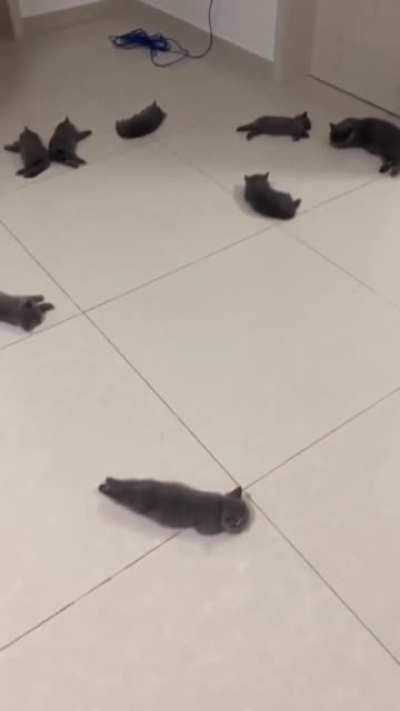 Best possible sales video for heated flooring