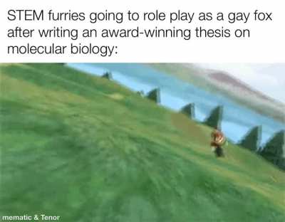 rule