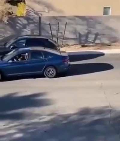 Thanks for the help !