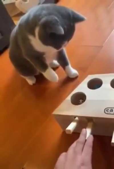 Die die die!