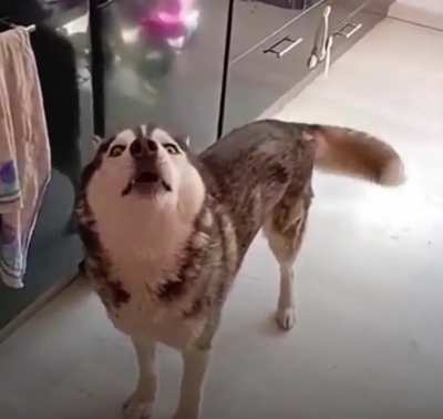 I don’t know whats happening