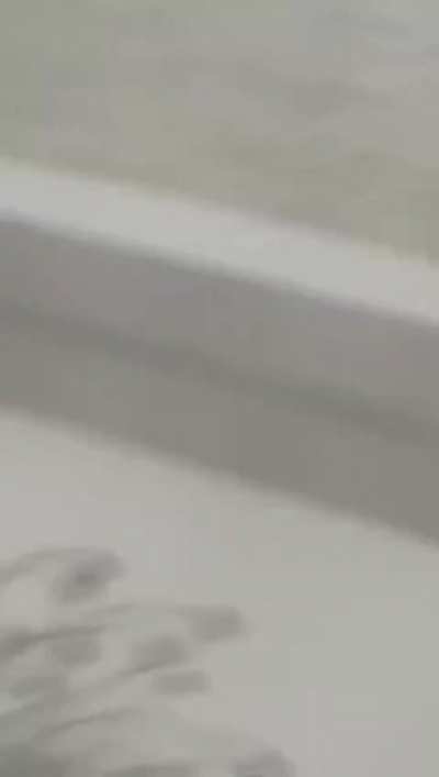 beyrut patlamasının daha iyi çekimi (r/PublicFreakout)