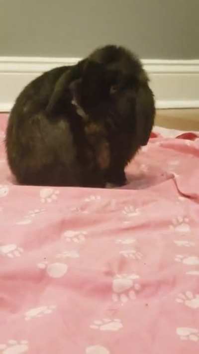 I got a toe licker