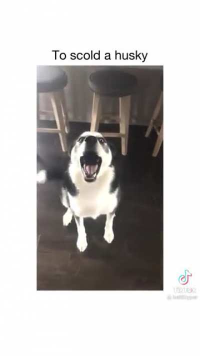 Wauwauwwauw
