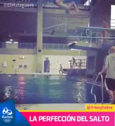 Olympic diving judging criteria explained.