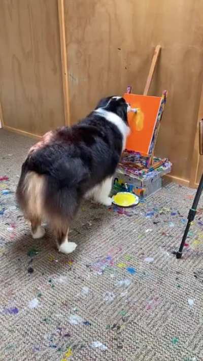 This dog has talent