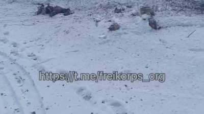 Warning: Extremely Graphic Images. Russian Soldiers Killed Trying To Push Into Kharkiv