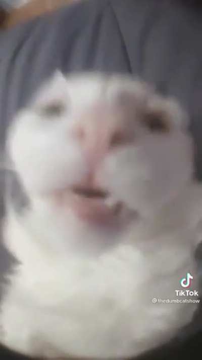 henlo