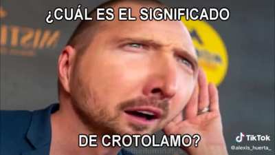 crotolamo