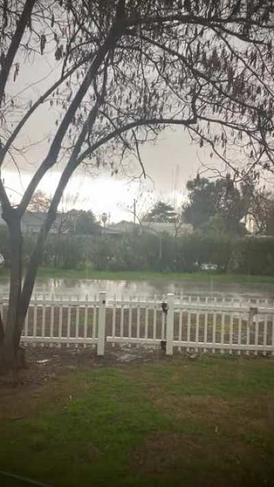 Some rain before the hot summers come.