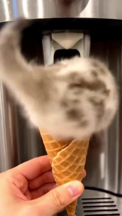 IcyKitty