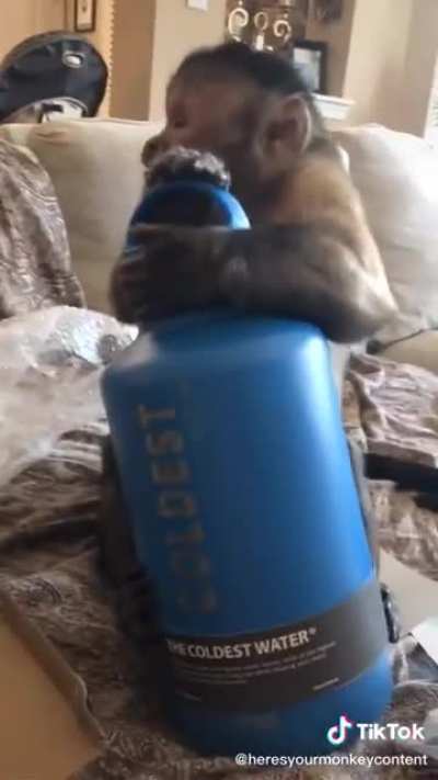 monke likes the water ooh ah ah
