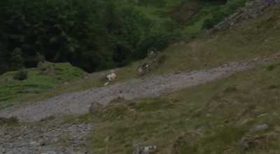 Gee Atherton’s Crash