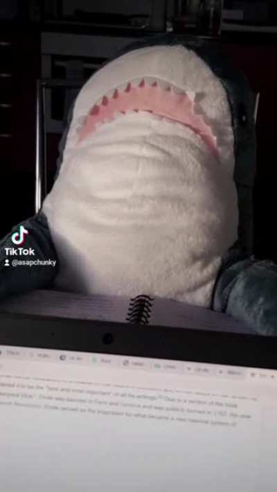 Thought I'd share this low quality TikTok I made when my bf gifted me my Blahaj last Christmas