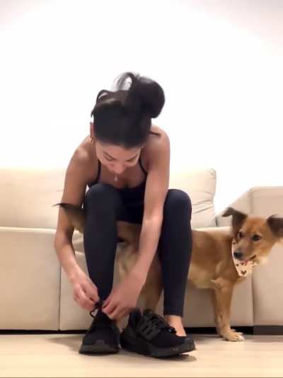 Lol the dog