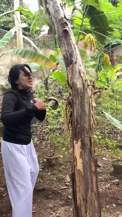 Maybe maybe maybe