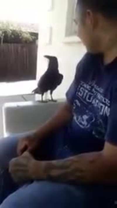 FU
