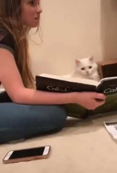 Does this count?