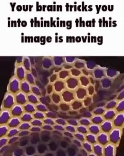 rule
