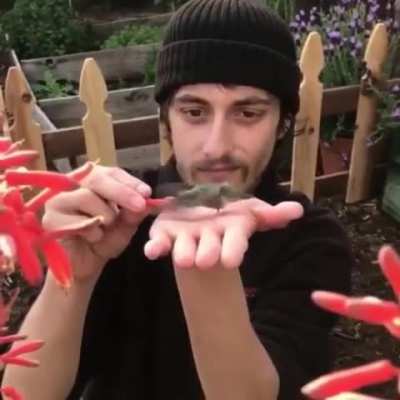 Maybe maybe maybe