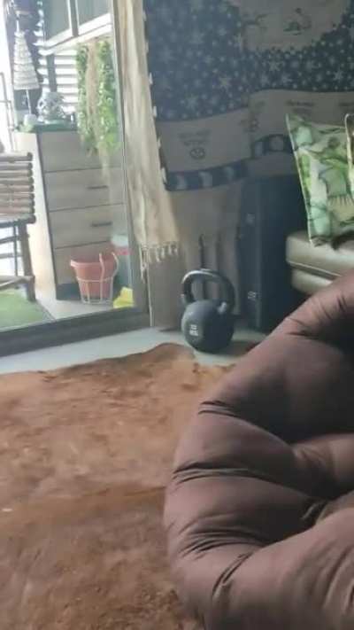 TOAD TV