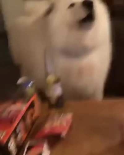 woof_irl