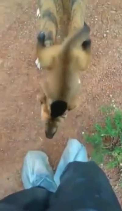 An unusual ride