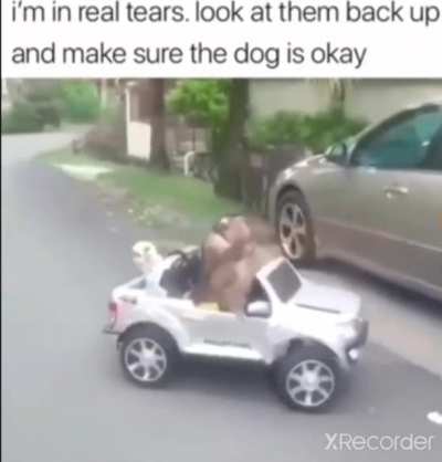 Monke