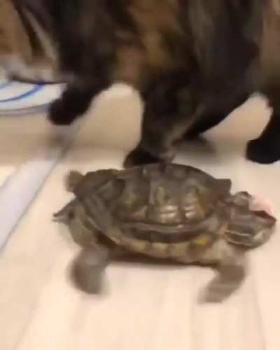 Feets don't fail me now...
