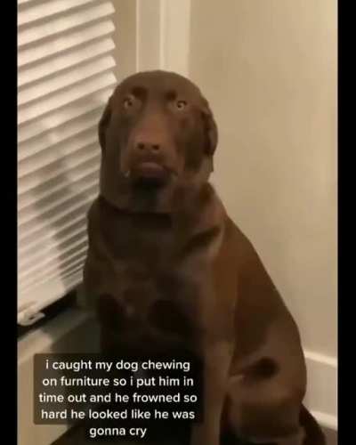 Displaying his dissatisfaction