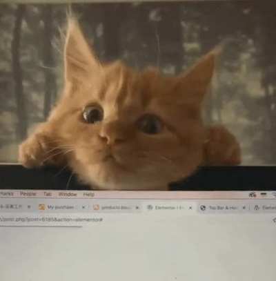 Attention seeker