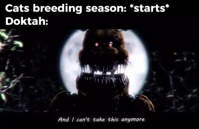 Heâs more scared of child support than horny
