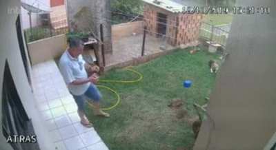 Well....that's one way to deal with the ants