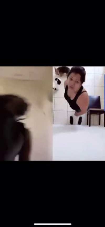 Damn kitty!