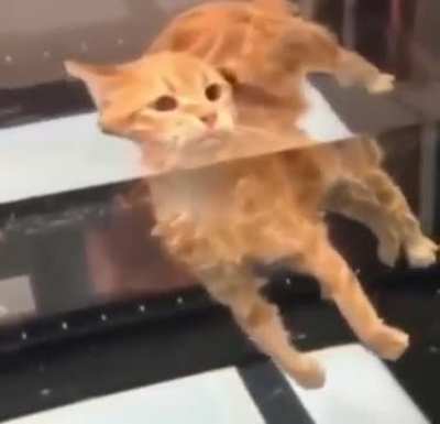 This is my life now