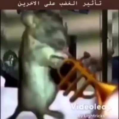 Fareleri üzmein la