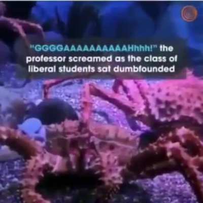 cool experiment