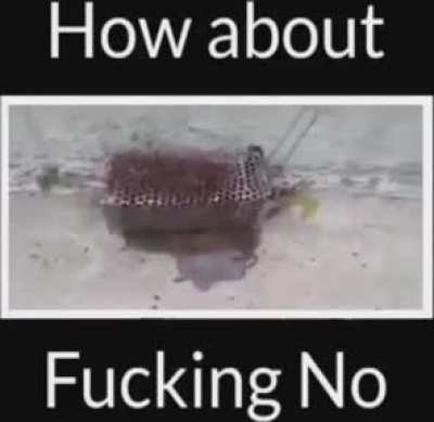 I needed to get out of this subreddit so I will follow their tradition