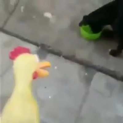 F